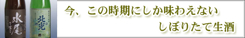 今、この時期にしかあじわえないしぼりたて生酒